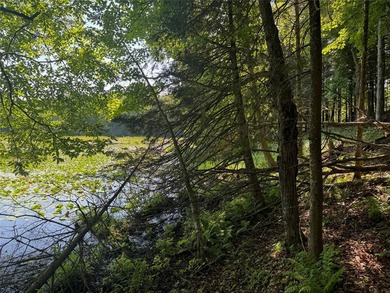 Build your Northwoods getaway on this beautiful waterfront lot - photo 29