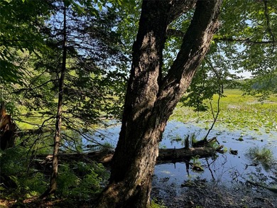 Build your Northwoods getaway on this beautiful waterfront lot - photo 30