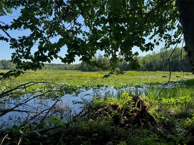 Build your Northwoods getaway on this beautiful waterfront lot - photo 31