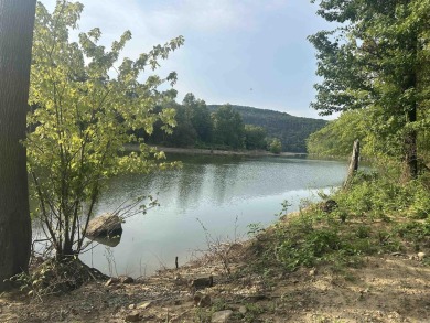 Lake Acreage For Sale in Shirley, Arkansas
