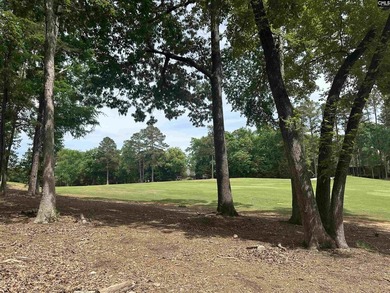 Lake Murray Lot For Sale in Chapin South Carolina