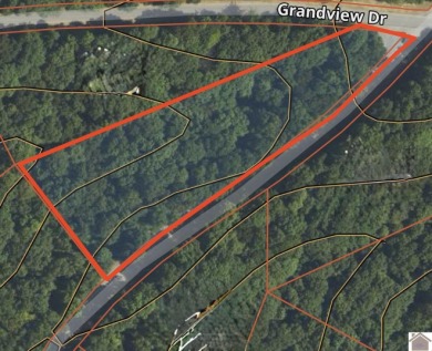Lake Acreage For Sale in Cadiz, Kentucky