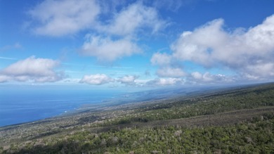 220 PRIVATE ACRES WITH CABIN IN WOODS IN THE KONA COFFEE BELT A - photo 19