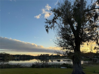 Lake Home For Sale in Land O Lakes, Florida