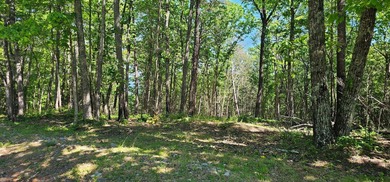 Great lots in Fredonia Mountain Nature Resort. These lots have a - photo 1