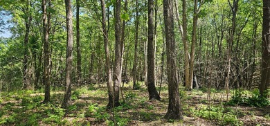 Great lots in Fredonia Mountain Nature Resort. These lots have a - photo 2