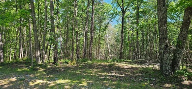Great lots in Fredonia Mountain Nature Resort. These lots have a - photo 3