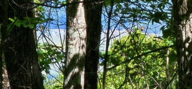 Great lots in Fredonia Mountain Nature Resort. These lots have a - photo 4