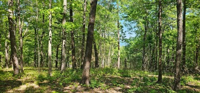 Great lots in Fredonia Mountain Nature Resort. These lots have a - photo 5