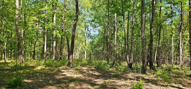 Great lots in Fredonia Mountain Nature Resort. These lots have a - photo 6