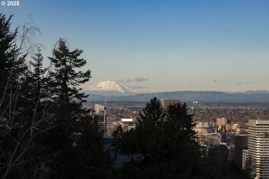 Amazing price for Portland Heights! Breathtaking unobstructed