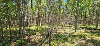 Great lots in Fredonia Mountain Nature Resort. These lots have a - photo 7