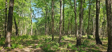 Great lots in Fredonia Mountain Nature Resort. These lots have a - photo 8