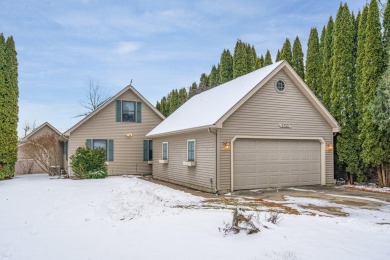 Lake Home For Sale in Beaverton, Michigan