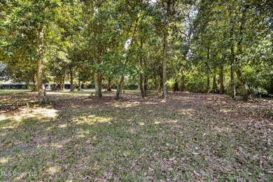Cleared lot in the heart of Biloxi. At one time was the location - photo 21