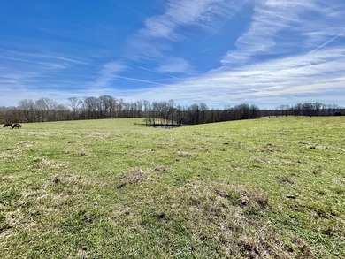 PRICE REDUCED!!!!Don't miss this rare opportunity to own 22.4 - photo 27
