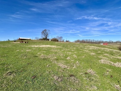 PRICE REDUCED!!!!Don't miss this rare opportunity to own 22.4 - photo 31
