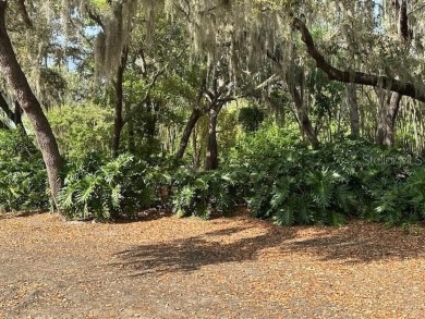 Lake Hamilton Lot For Sale in Winter Haven Florida