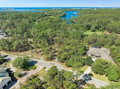 Build Your Dream Estate on Nearly an Acre in Wild Heron Nearly a - photo 11