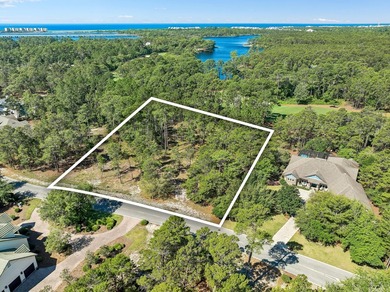 Build Your Dream Estate on Nearly an Acre in Wild Heron Nearly a - photo 12
