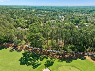 Build Your Dream Estate on Nearly an Acre in Wild Heron Nearly a - photo 15