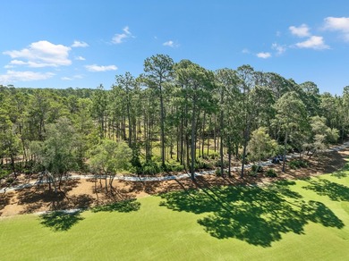 Build Your Dream Estate on Nearly an Acre in Wild Heron Nearly a - photo 17