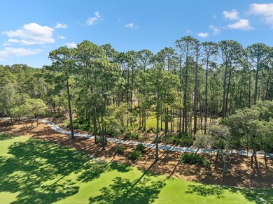 Build Your Dream Estate on Nearly an Acre in Wild Heron Nearly a - photo 18
