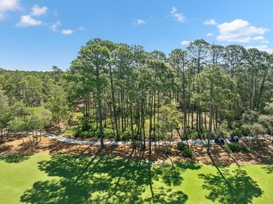 Build Your Dream Estate on Nearly an Acre in Wild Heron Nearly a - photo 19