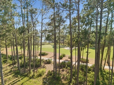 Build Your Dream Estate on Nearly an Acre in Wild Heron Nearly a - photo 21