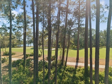 Build Your Dream Estate on Nearly an Acre in Wild Heron Nearly a - photo 23