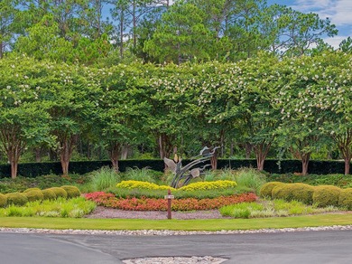 Build Your Dream Estate on Nearly an Acre in Wild Heron Nearly a - photo 27