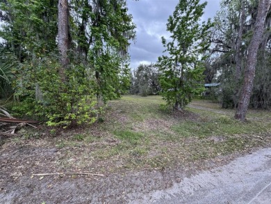 Lake Lot For Sale in Lake Wales, Florida