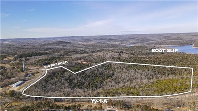 (private lake, pond, coastal) Commercial For Sale in Shell Knob Missouri