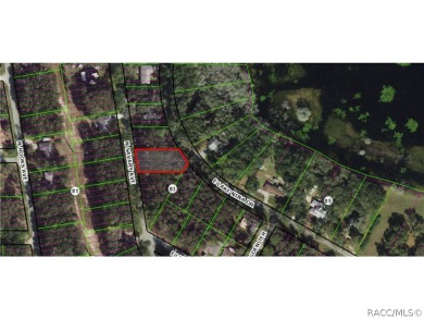 (private lake, pond, creek) Lot For Sale in Inverness Florida