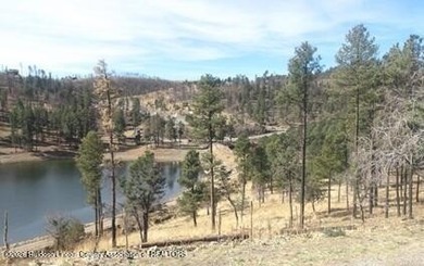 Lake Lot For Sale in Alto, New Mexico