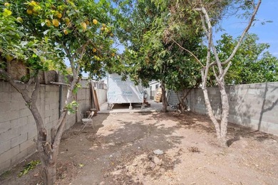 Great starter home. Single story, large backyard. Fresh interior - photo 18