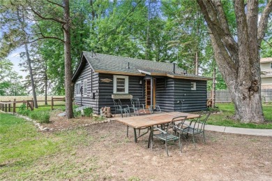 Lake Home For Sale in Howard Lake, Minnesota