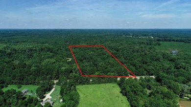 (private lake, pond, creek) Home For Sale in Jefferson Texas