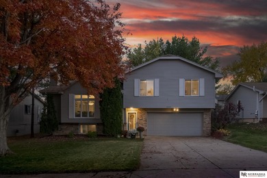 Papillion Creek Reservoir Home For Sale in Bellevue Nebraska