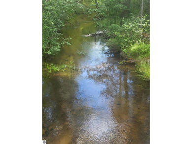 (private lake, pond, creek) Acreage Sale Pending in Hale Michigan