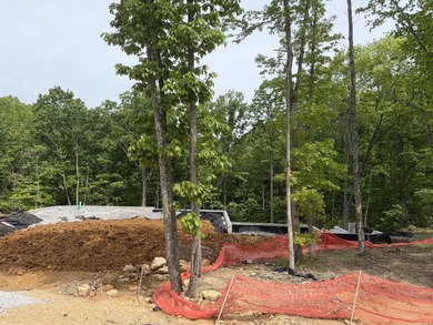 UNDER CONSTRUCTION! Move-in ready Winter 2026! Choose your - photo 2