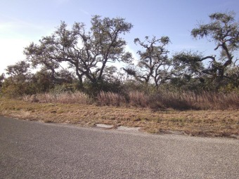 Lake Lot Off Market in Rockport, Texas