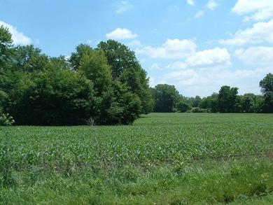 46.49 Acres with over 1,550 feet of road frontage, featuring a - photo 11
