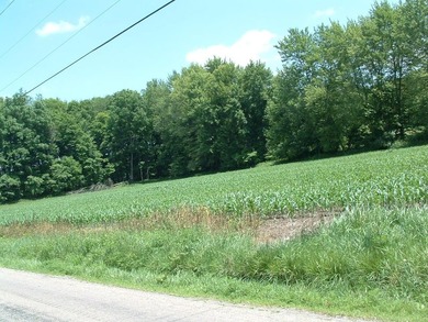 46.49 Acres with over 1,550 feet of road frontage, featuring a - photo 12