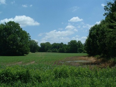 46.49 Acres with over 1,550 feet of road frontage, featuring a - photo 13