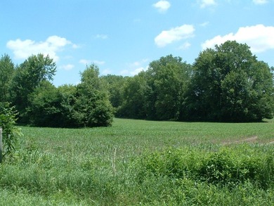 46.49 Acres with over 1,550 feet of road frontage, featuring a - photo 14
