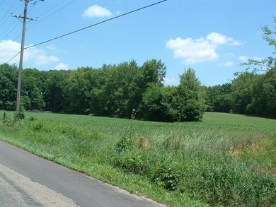 46.49 Acres with over 1,550 feet of road frontage, featuring a - photo 15