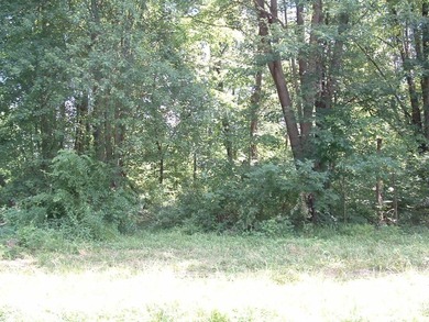 46.49 Acres with over 1,550 feet of road frontage, featuring a - photo 16