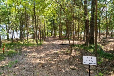 Lake Lot For Sale in Leesburg, Texas