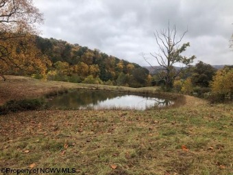 (private lake) Acreage For Sale in Beverly West Virginia